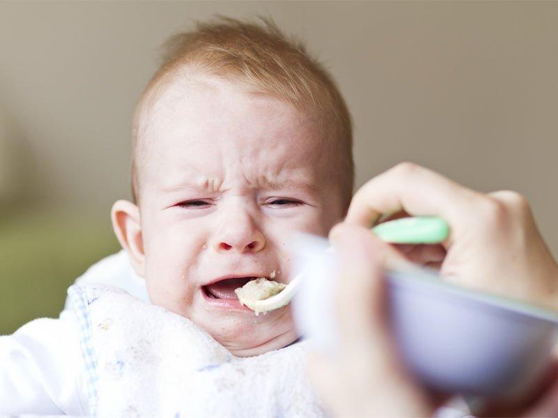 Fussy eaters - Babysense