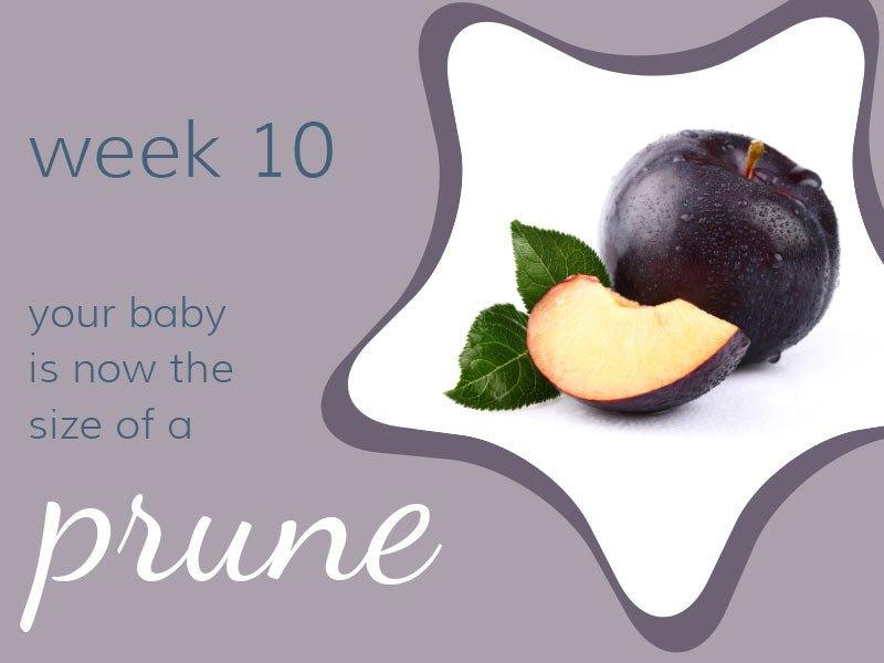 Week 10 - Babysense