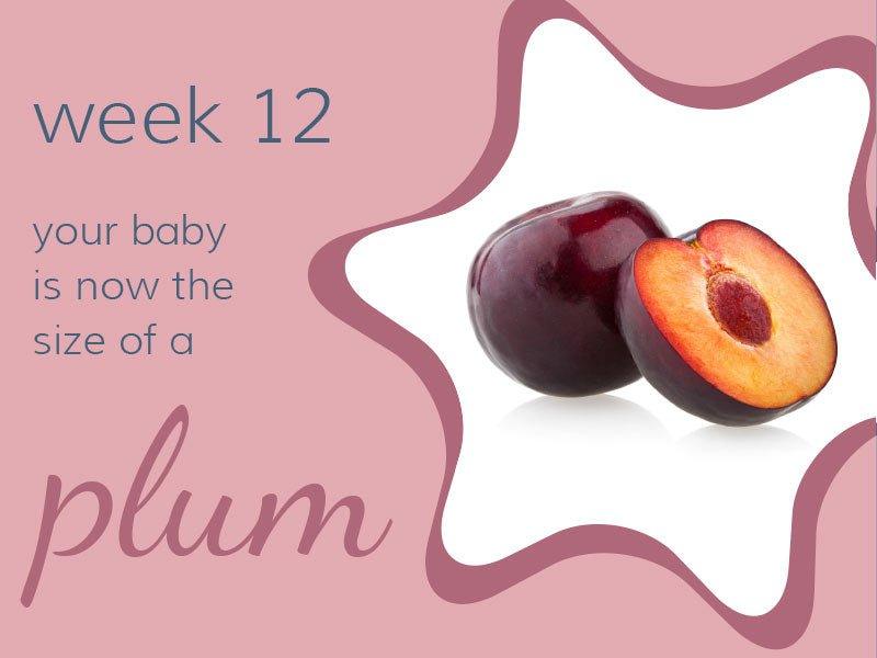 Week 12 - Babysense