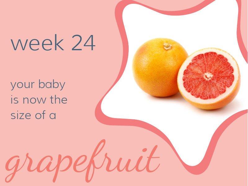 Week 24 - Babysense