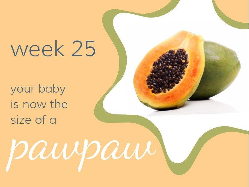 Week 25 - Babysense