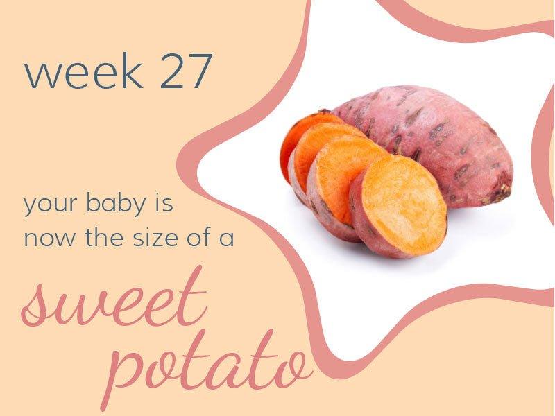 Week 27 - Babysense