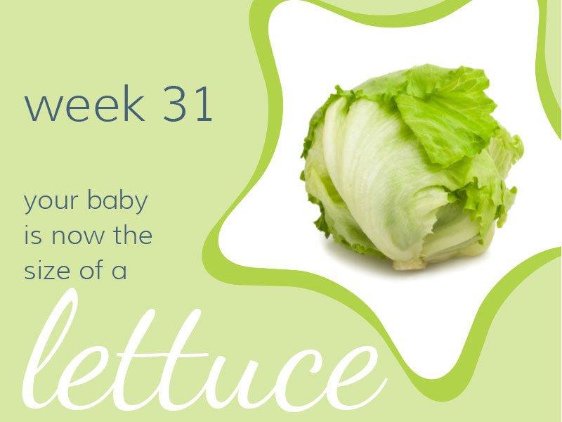 Week 31 - Babysense