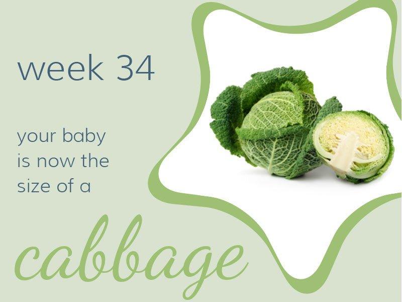 Week 34 - Babysense