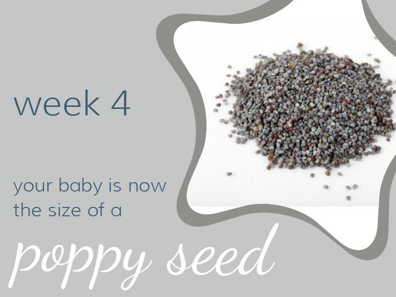 Week 4 - Babysense