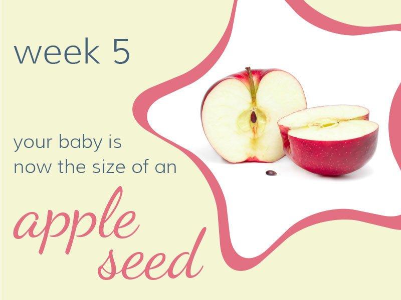 Week 5 - Babysense