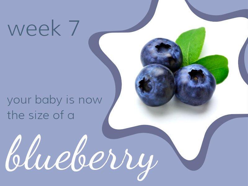 Week 7 - Babysense