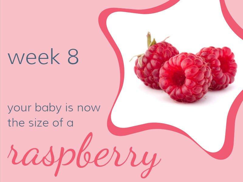 Week 8 - Babysense